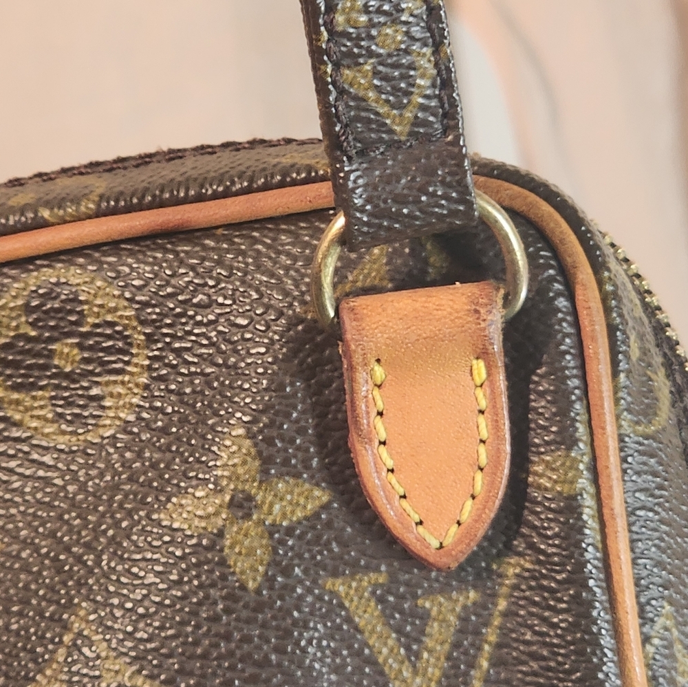 Louis Vuitton Amazone Brown Monogram Bag - Picture 10 of 17